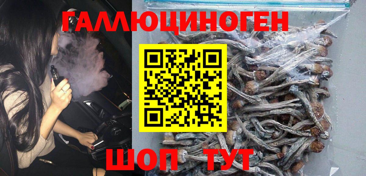 Шадринск  Галлюциногенные грибы MAGIC MUSHROOMS  Вход с VPN  Псилоцибиновые грибы MAGIC MUSHROOMS 