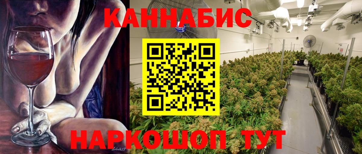 Шишки марихуана марихуана Шадринск